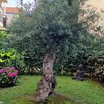 Superbe appartement avec jardin Saint Charles