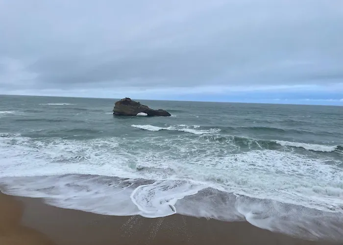 Fantastic Ocean View