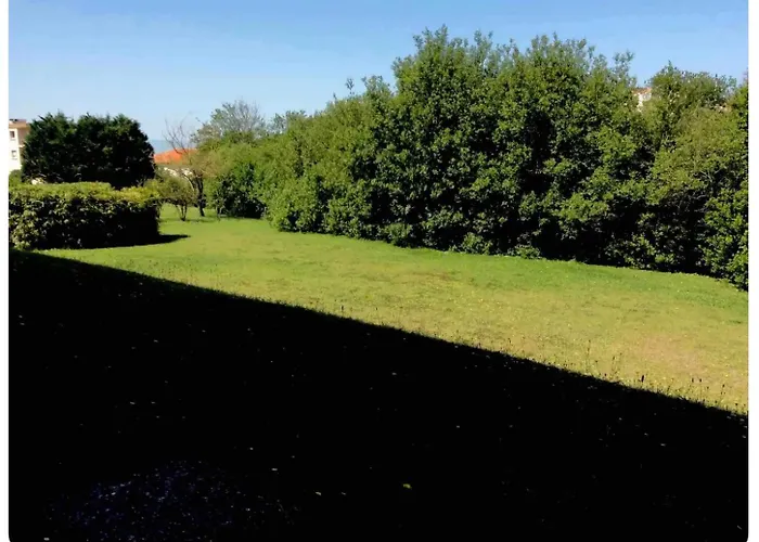 Centre Et Plage F1 Calme Vue Parc Parking Gratuit