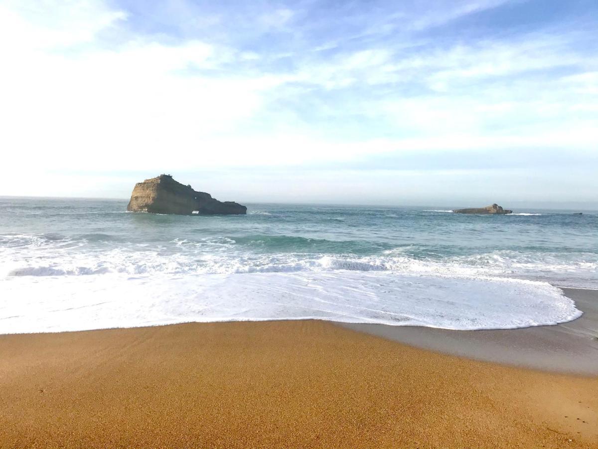 Apartment Cosy 4 Pers A 200 M Et Commerce La Cabane64 Biarritz