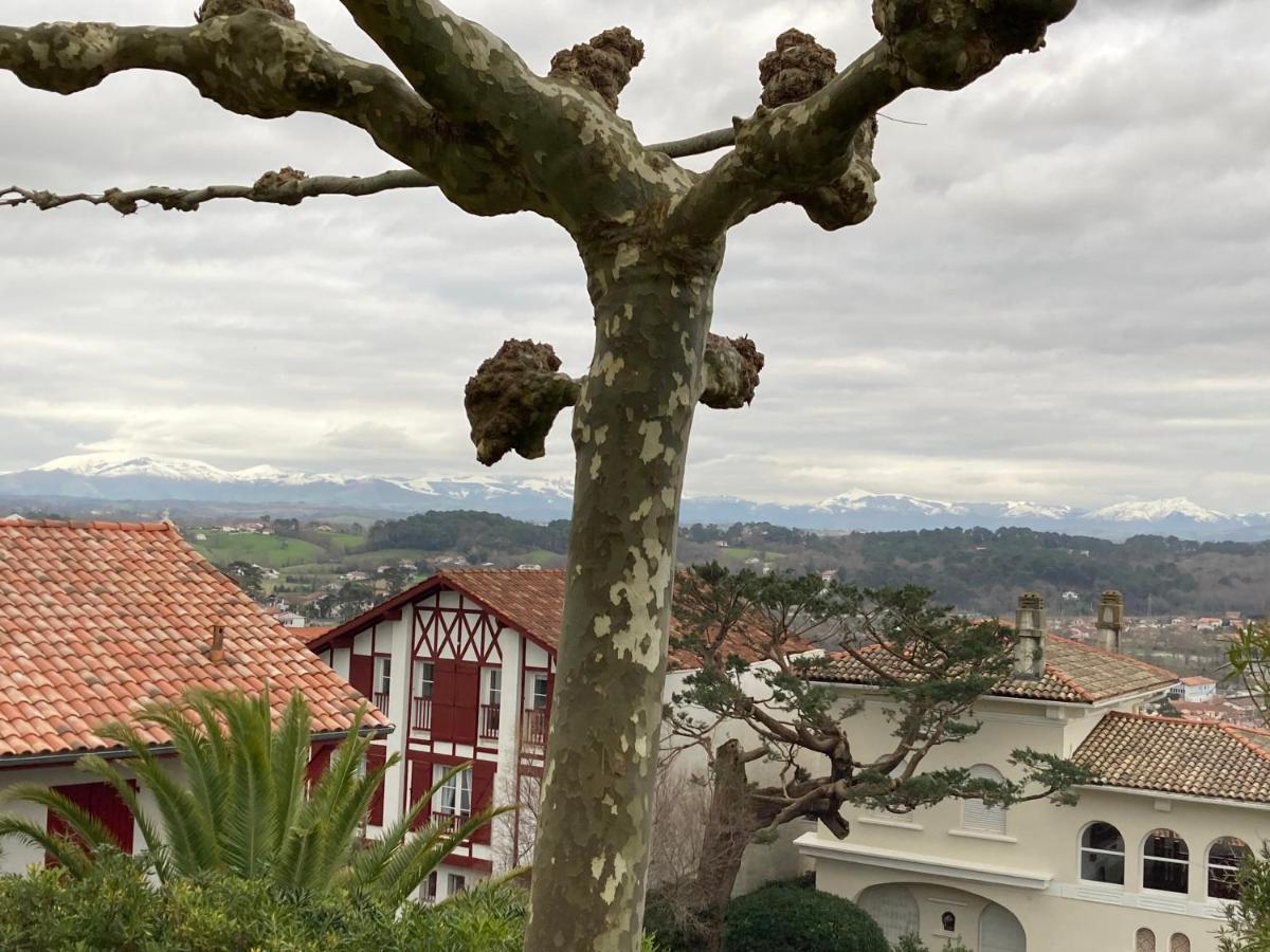 Apartment Aguilera 2 A 4 Pers *