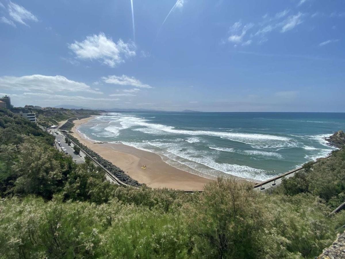 Studio Biarritz, 1 Piece, 4 Personnes - Fr-1-248-56 Apartment Biarritz