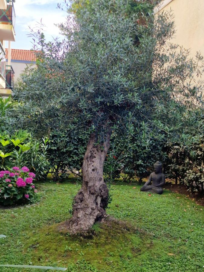 Superbe Avec Jardin Saint Charles *