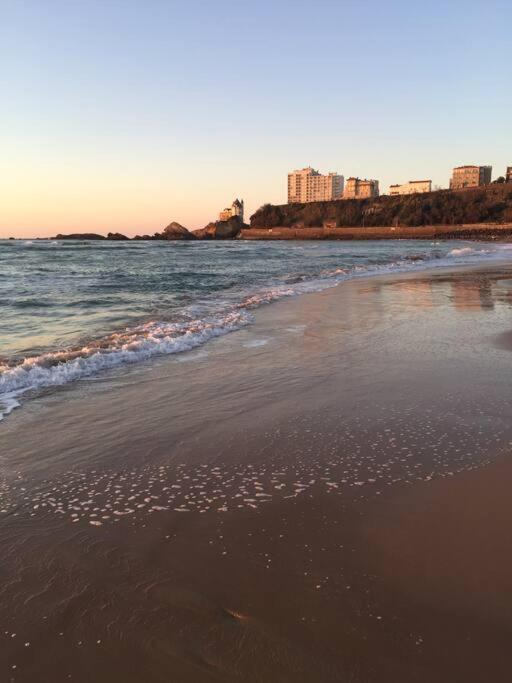 Cote Des Basques Apartment Biarritz
