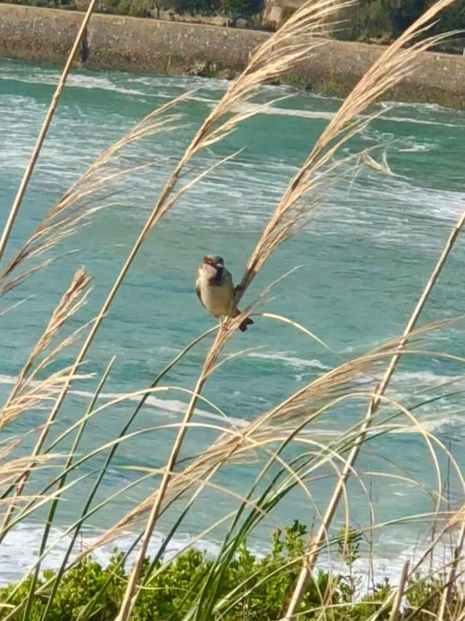 Cote Des Basques *