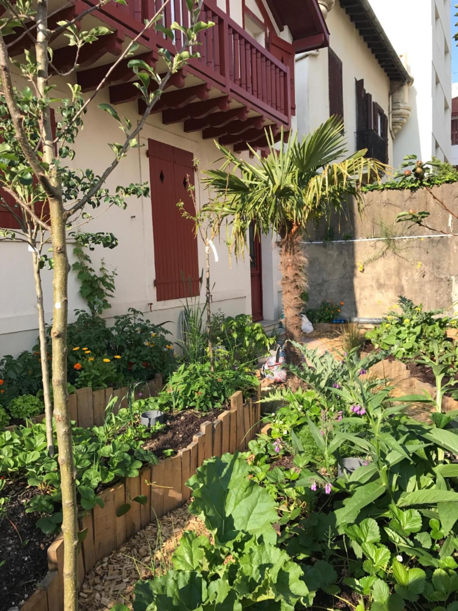 Terrasse Apartamento