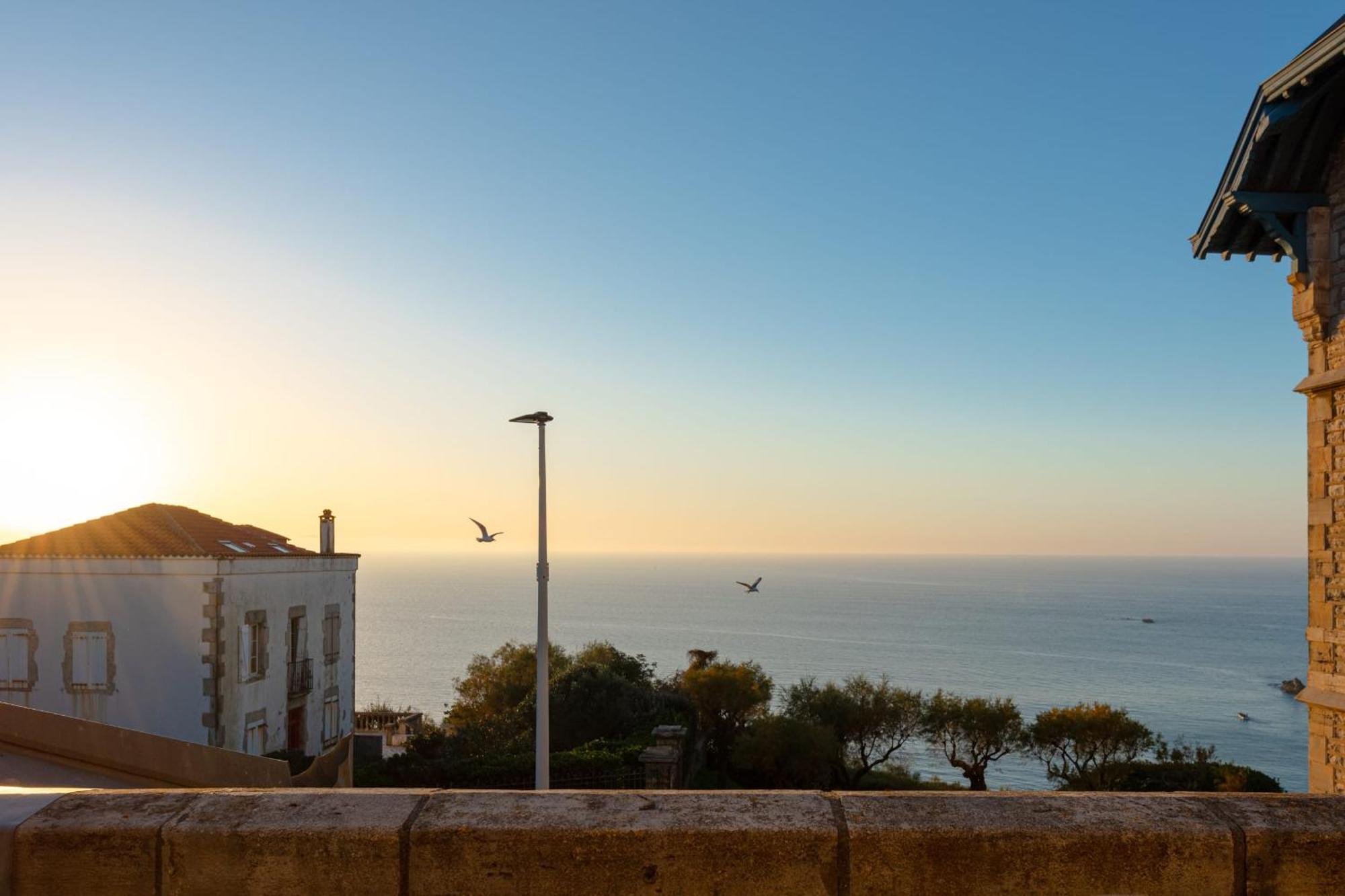 Alma - With Terrace And Sea View In Apartment