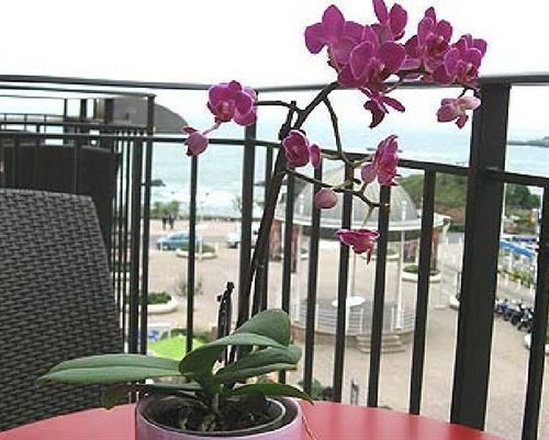Florida Hotel 4*