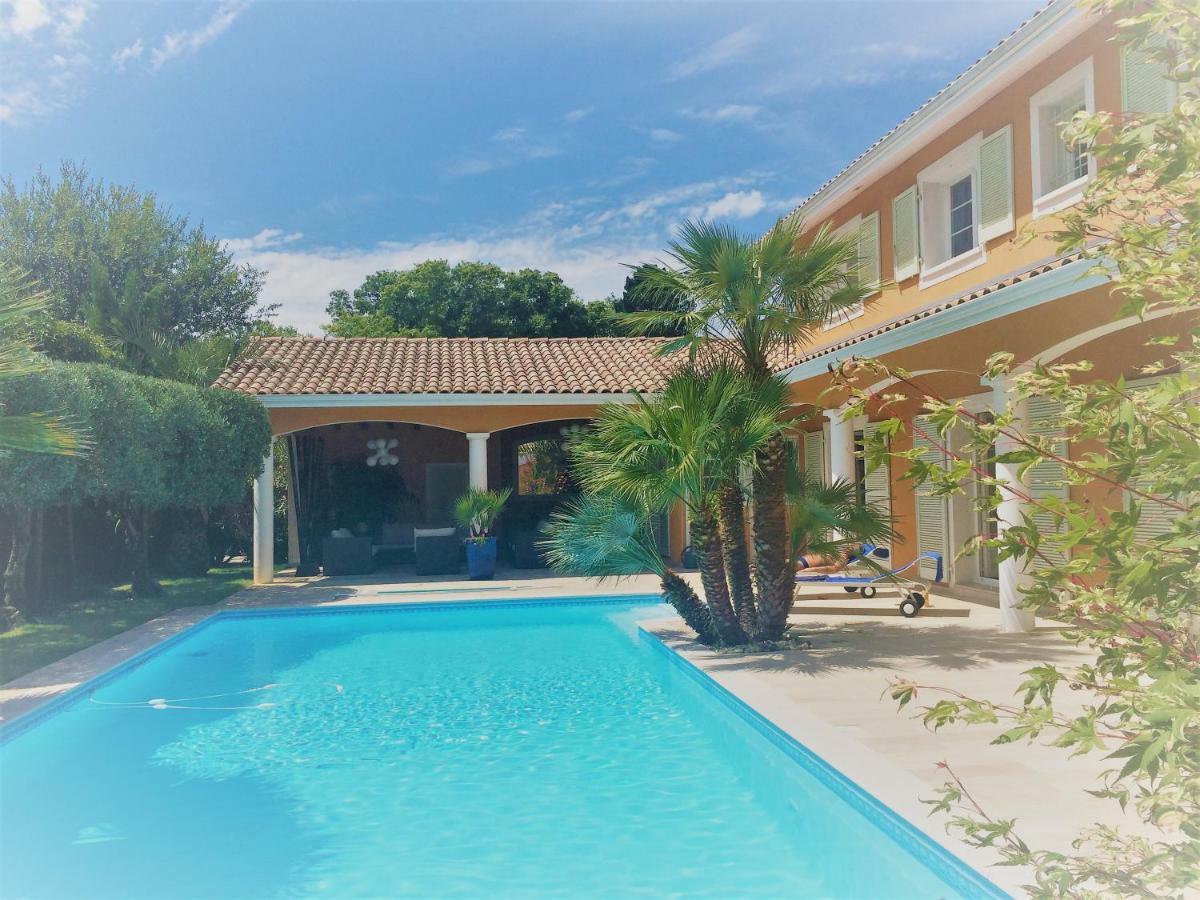 Luxueuse Avec Piscine Sur Les Hauts De Villa Biarritz