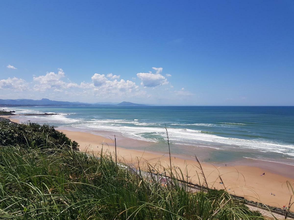 Charmant T2 Dans Le Tres Prise Quartier Beaurivage De Biarritz