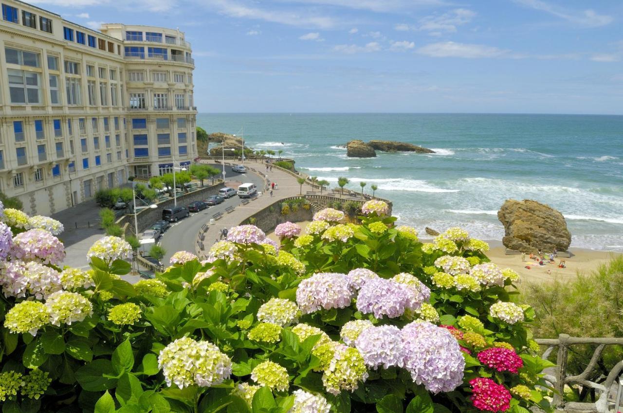 Clemence Biarritz