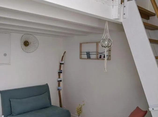 Dalhia Studio Centre Ville Biarritz