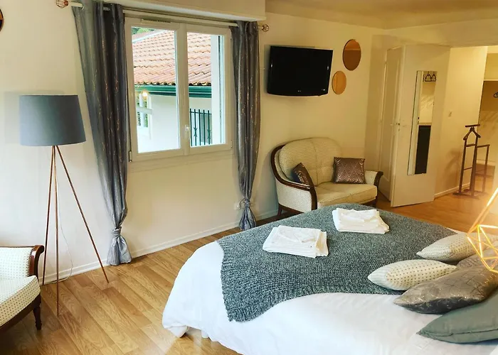 Villa De Charme Parc Fleuri, Arbore Et Piscine A Biarritz