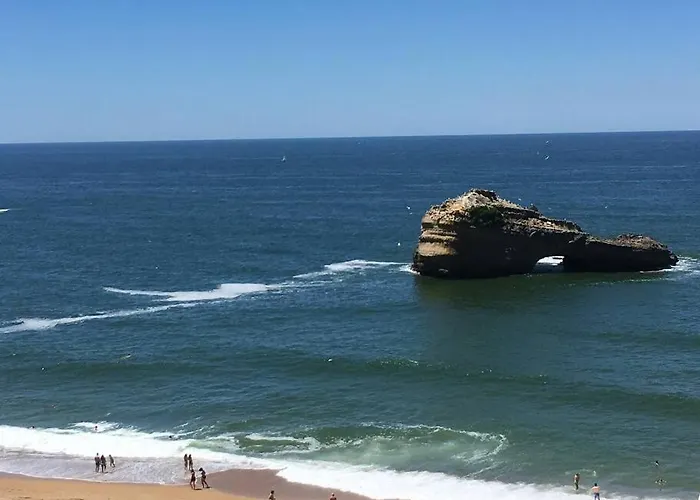 Superbe Studio Miramar Plein Sud, Pieds Dans L\'Eau