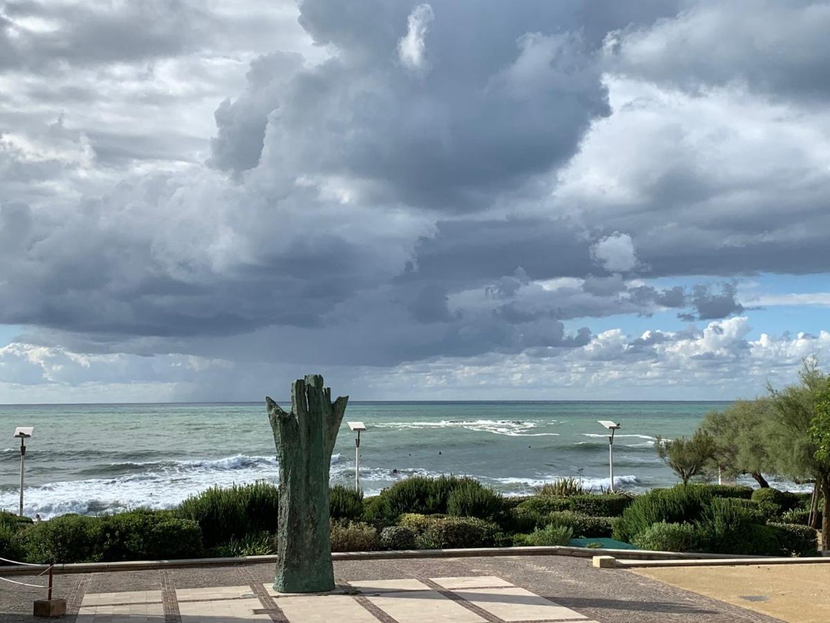 Surfin Essaye Biarritz