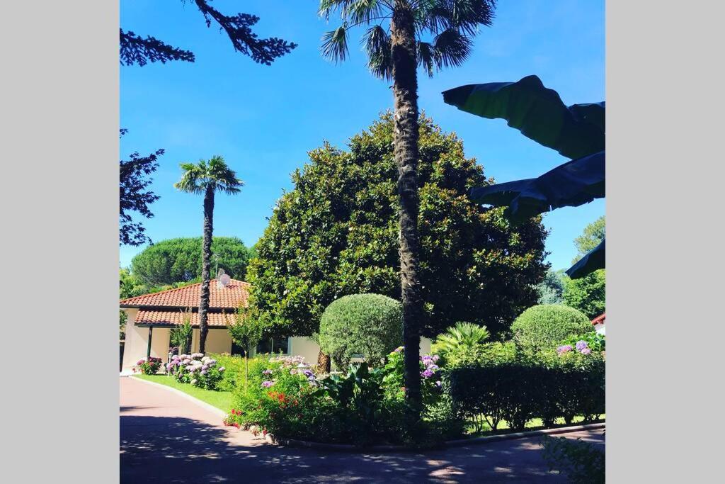 De Charme Parc Fleuri, Arbore Et Piscine A