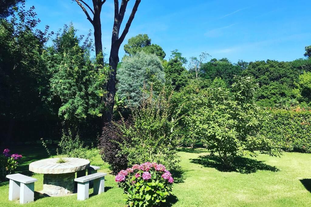 De Charme Parc Fleuri, Arbore Et Piscine A Biarritz