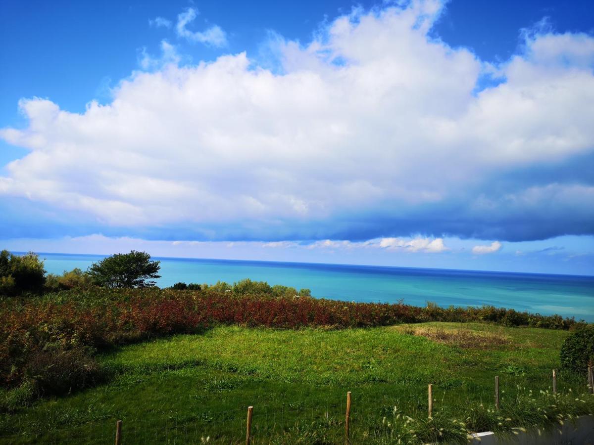 D'hotes Bibicheri Biarritz