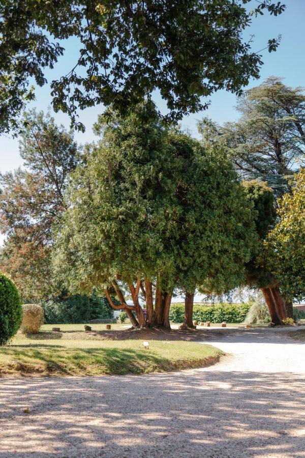 Hotel Chateau Du Clair De Lune - Boutique Luxury 4*