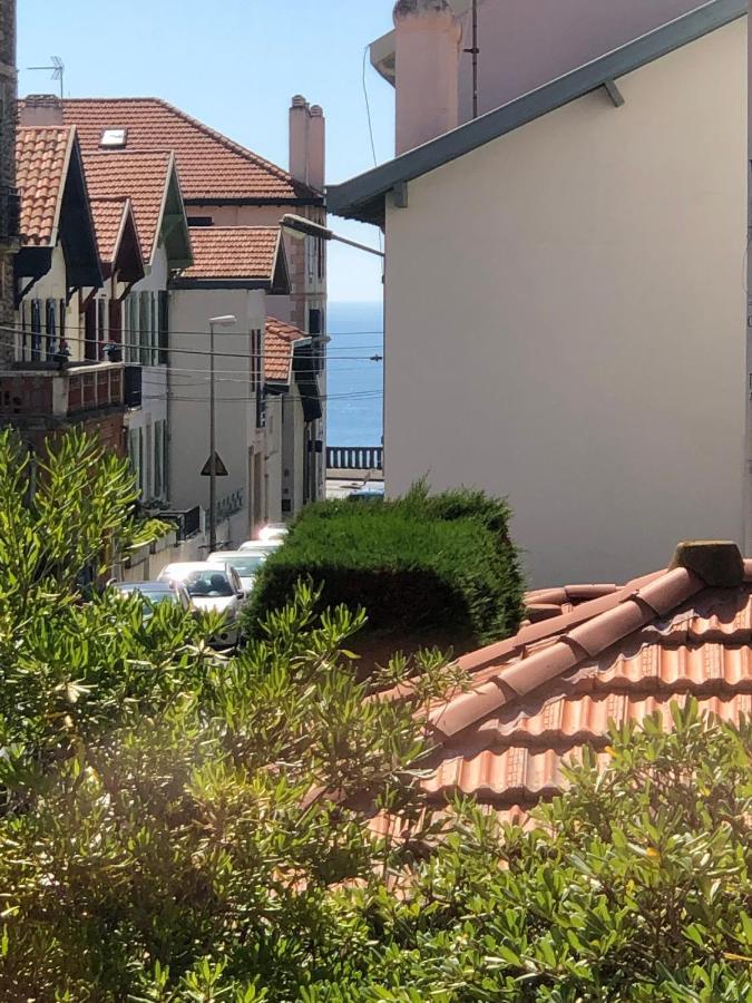 Bel Appartement, Offrant Calme Et Luminosite, Proche Cote Des Basques * Biarritz