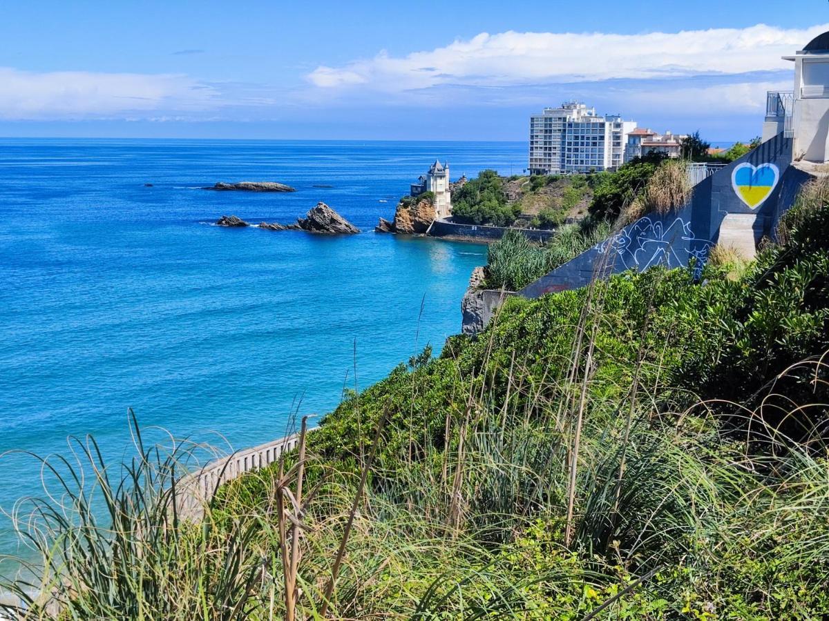 Surf * Biarritz