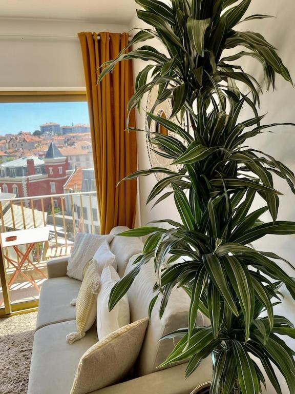 Superb Floor Studio, Center. Apartment