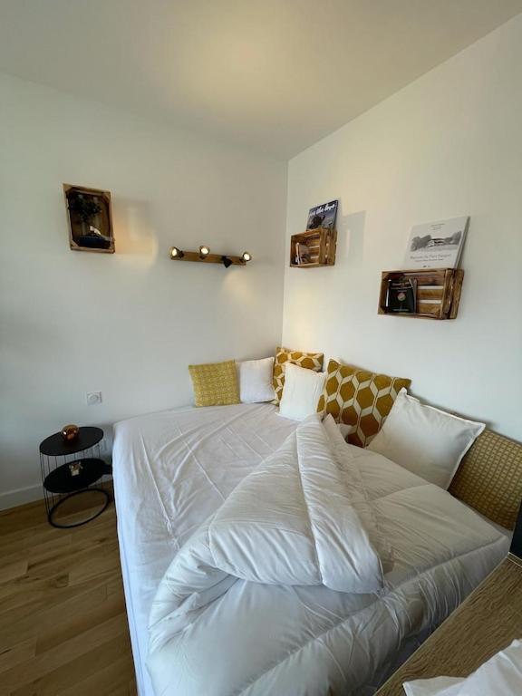 Apartment Superb Floor Studio, Center.