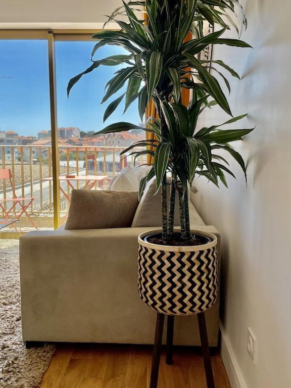 Superb Floor Studio, Center. Biarritz