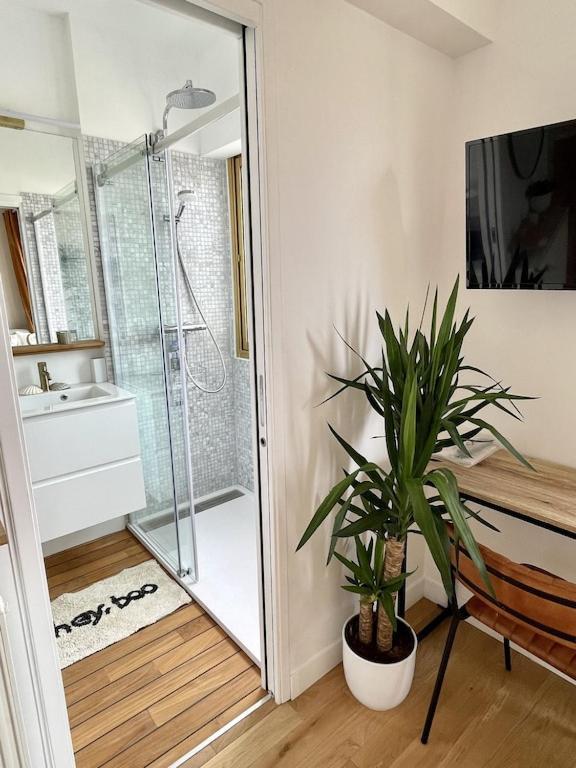Superb Floor Studio, Center. Apartment *