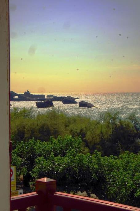 Le Sahel - Vue Imprenable Sur L'ocean Appartement Biarritz