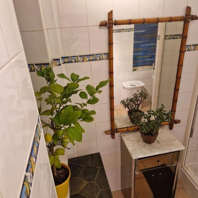 Apartamento Magnifique T3 - Grande *