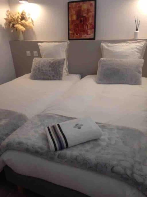 Charming Center-grande 5 Min Walking Apartment