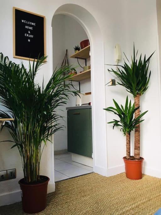 Mignon, Plein Centre Apartment