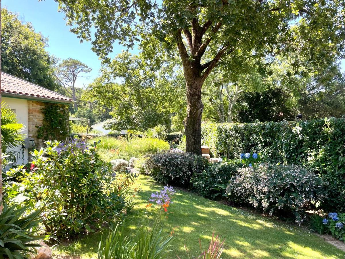 Bed & Breakfast Haritzaga D'hote Terrasse & Jardin Prive *