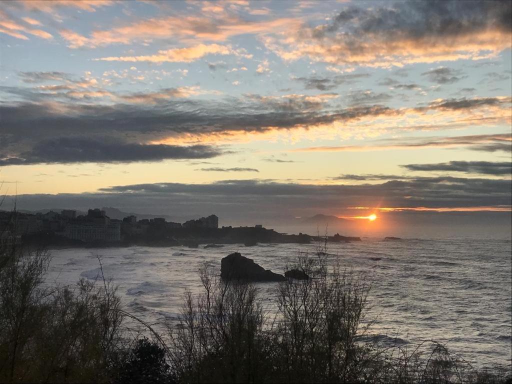 A Avec Une Terrasse Un Spa Et Parking Villa Biarritz