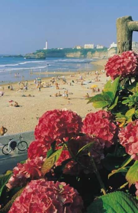 Holiday home House Very Closed To The Beautiful Biarritz