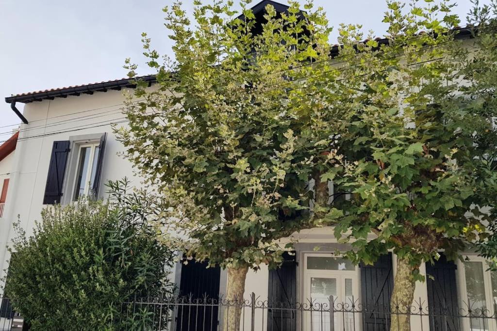 House Very Closed To The Beautiful Holiday home *