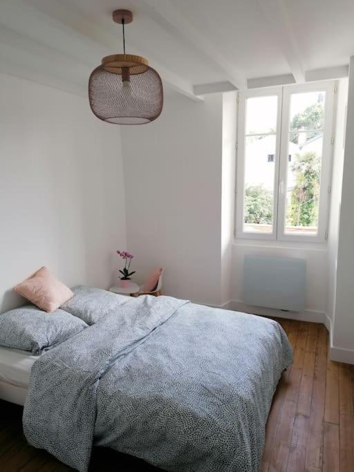 Loft De 90 M2 Centre De Apartment Biarritz