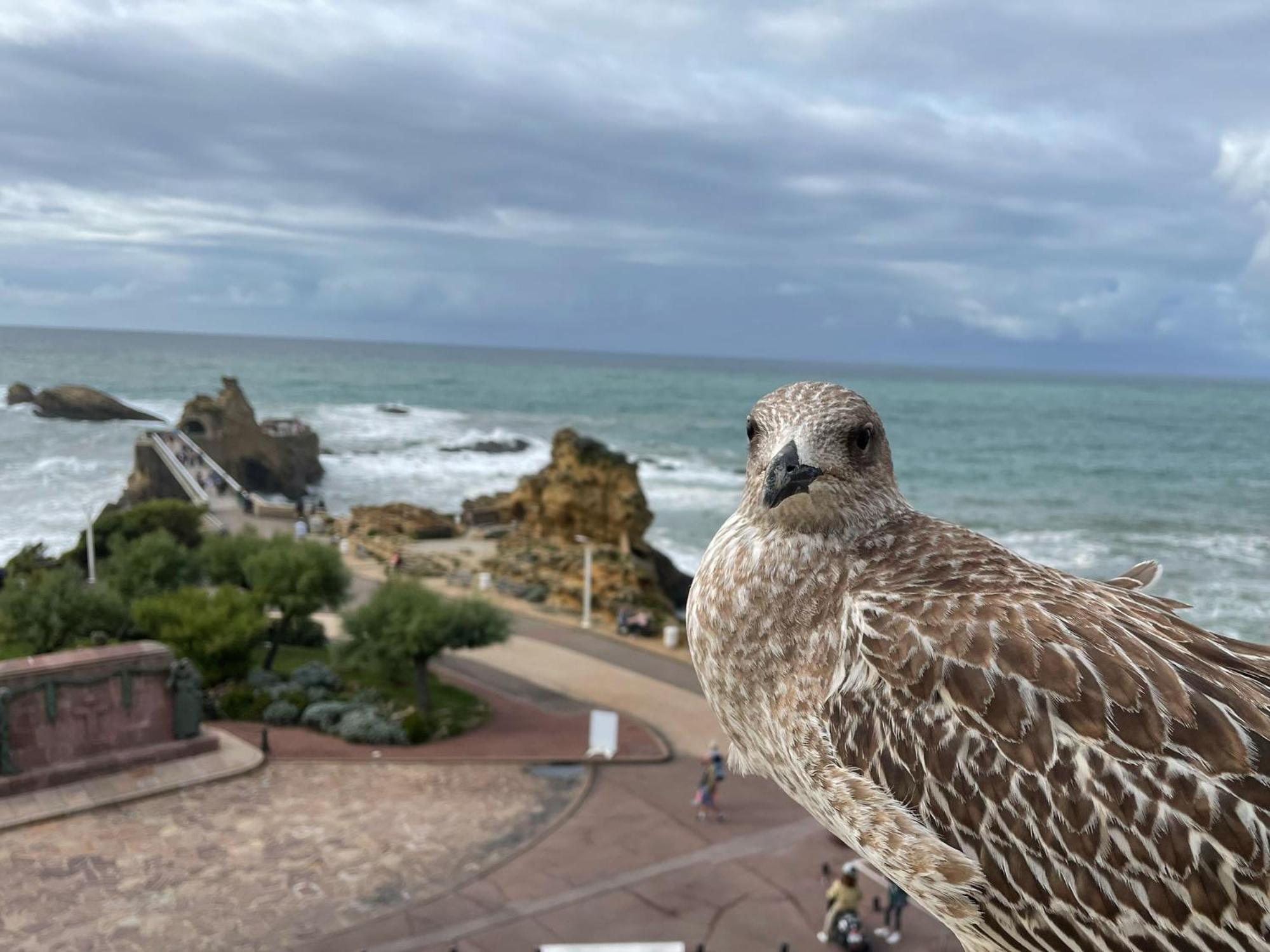 Nomad Biarritz