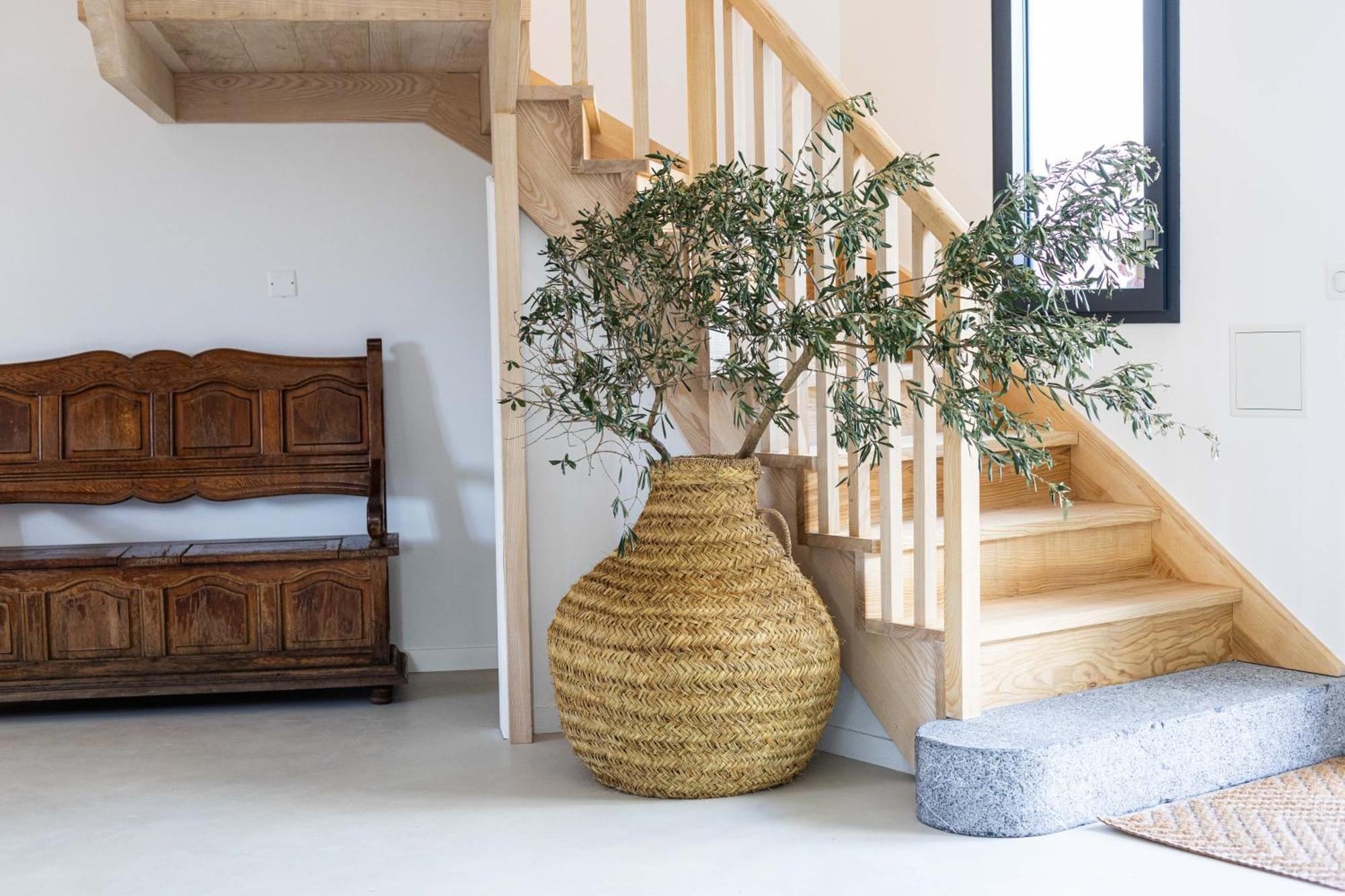 Surf D'hotes Bed & Breakfast Biarritz