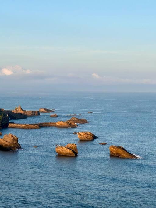 Amazing Cosy With Ocean View & Pool Biarritz