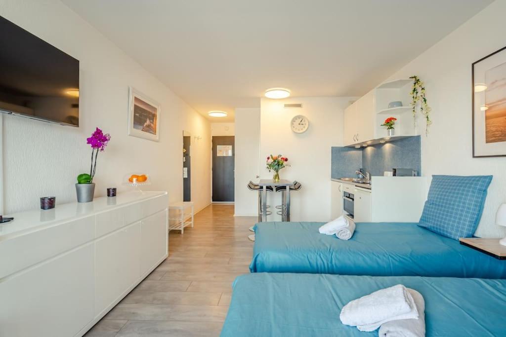 Grande - Avec Balcon - Victoria Surf Biarritz