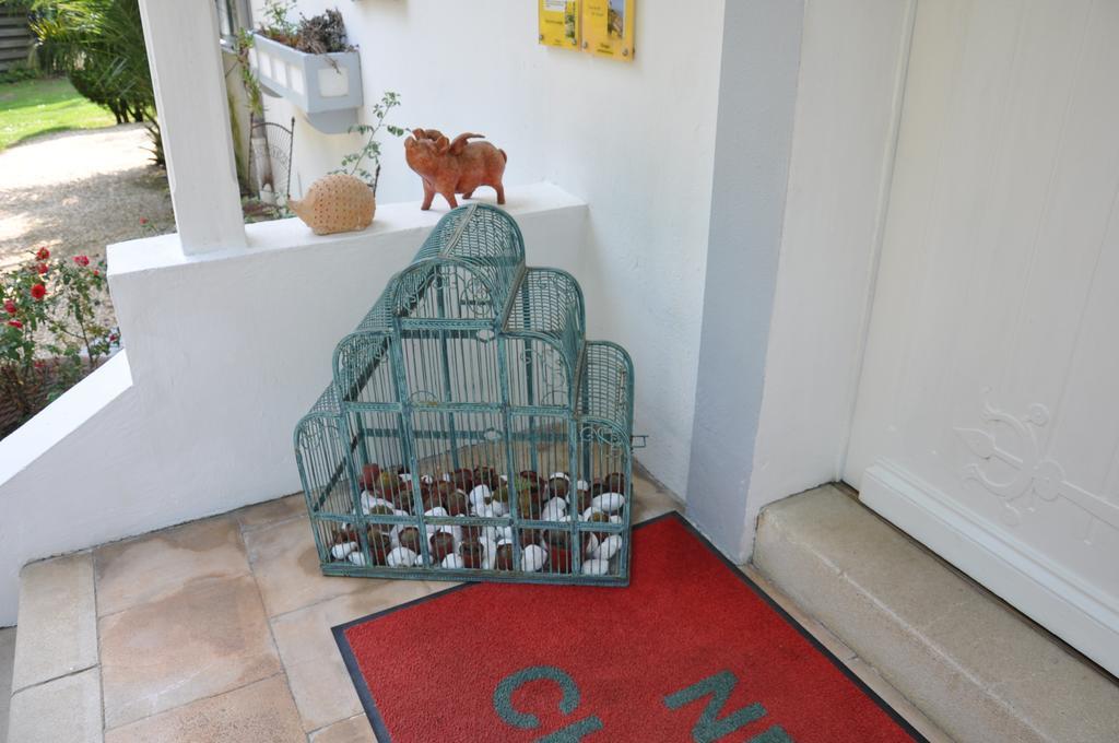 Chambres D'hotes Nere Chocoa Biarritz