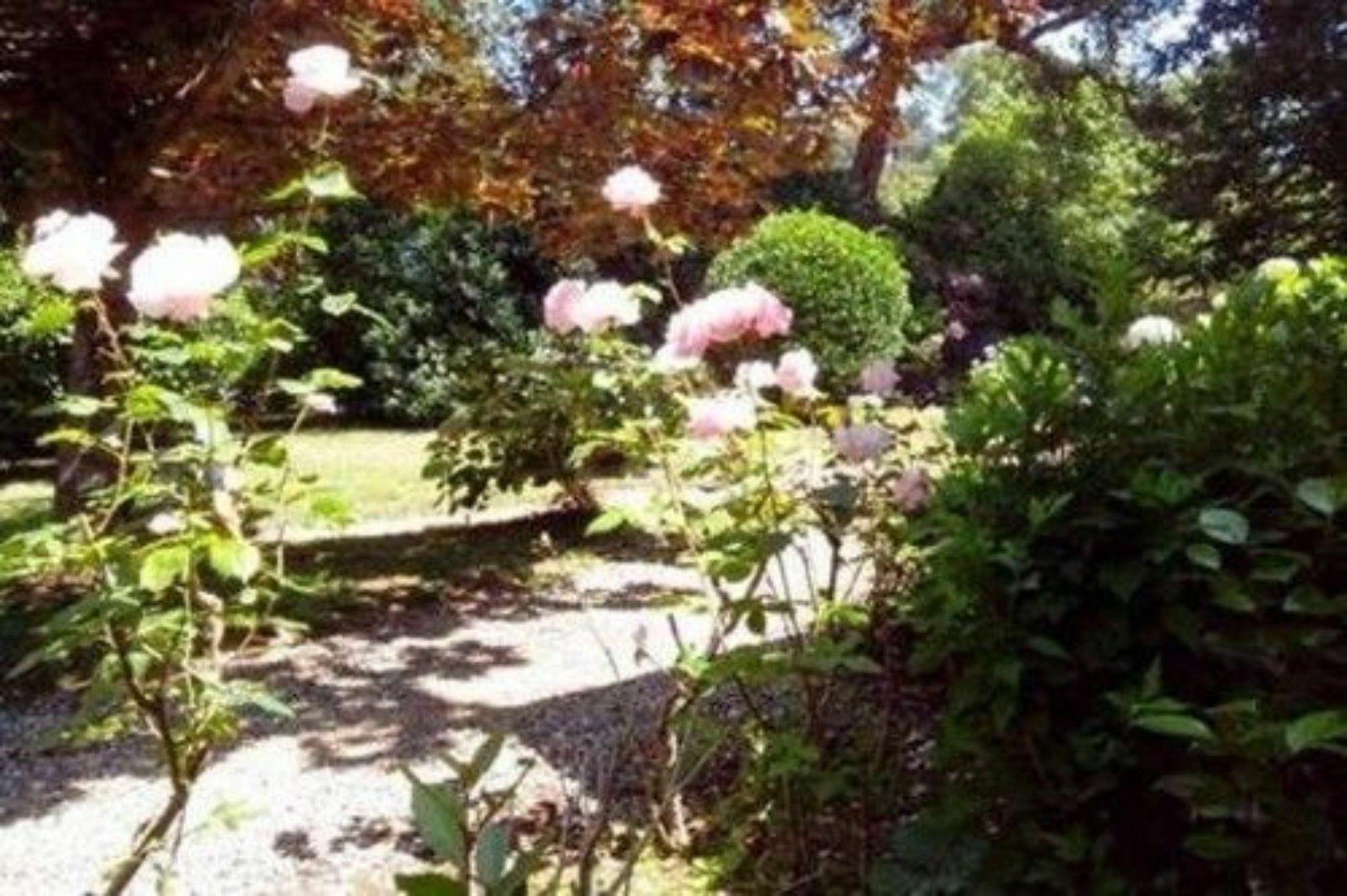 Un Jardin A