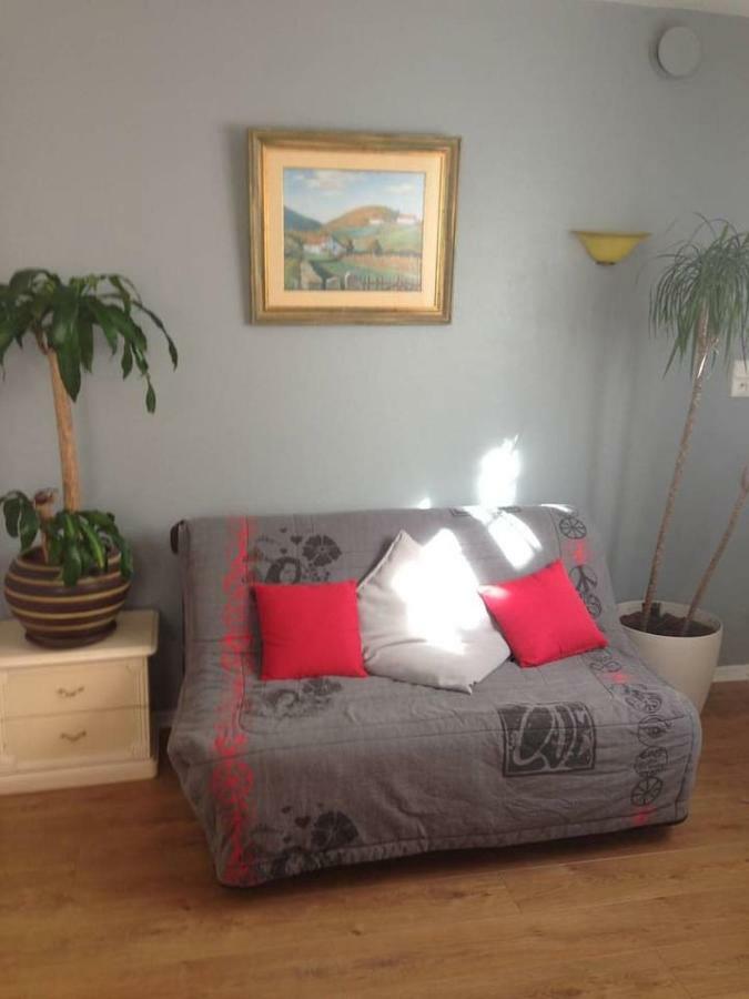 Apartment Petit Douillet Tres Bien Situe